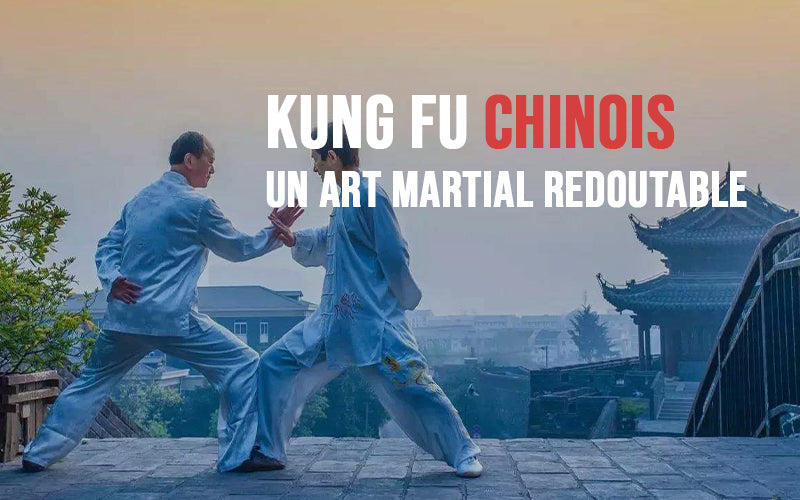 Kung-fu-chinois