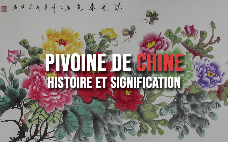 Pivoine-chine
