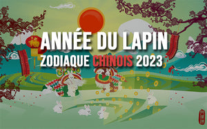 année-du-lapin-zodiaque-2023