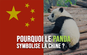 panda-symbole-de-chine