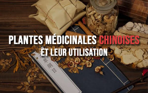 Les plantes médicinales chinoises et leur utilisation
