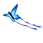 Cerf-volant chinois papillon