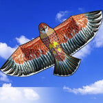 Cerf-volant aigle